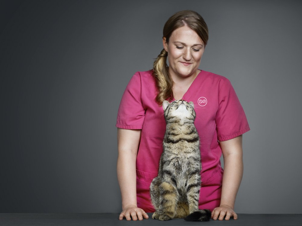 DWR BRAND & ENVIRONMENT IDENTITY